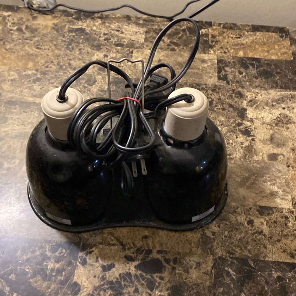 A dual reptile lights